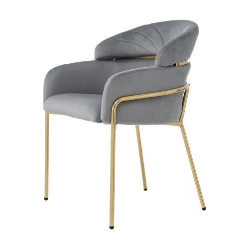 Chaise Salle à Manger Velours - Luxe 4 Pieds Métal Design Moderne Gris S101933dbd29740f38b78a4dc6891fe9e7