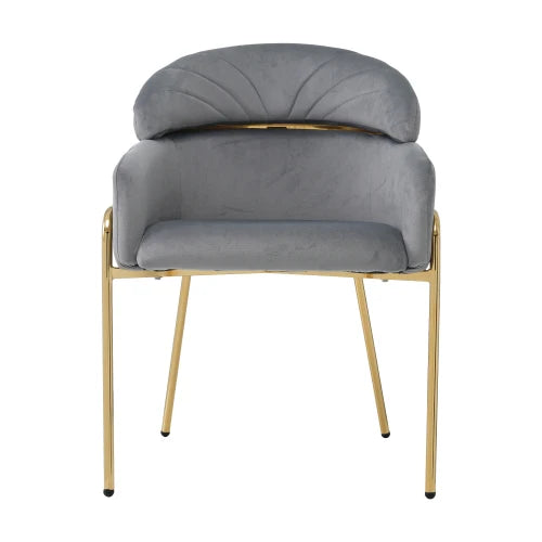 Chaise Salle à Manger Velours - Luxe 4 Pieds Métal Design Moderne Gris S1a6760e254904eb5ac98915db8f62765I