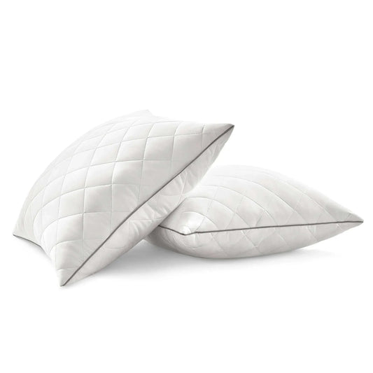 Pillow set of two Sided 60x60cm - Refreshing Cushion Winter Summer